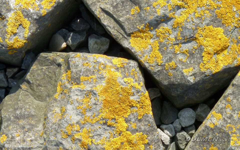 Basalt stones at the coast (IJselmeerdijk)